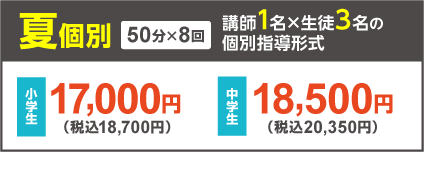 夏個別 1対3個別