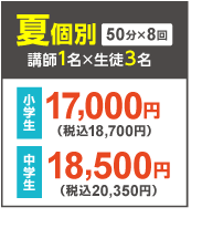 夏個別 1対3個別