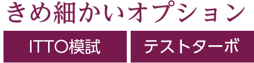 成績保証制度・テストターボ